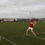 Pictured at the GAA grounds of Limerick Institute of Technology for the World Record for Most Nationalities to Take Part in a Hurling Match. Picture: Conor Owens/ilovelimerick.