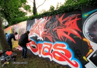 make-a-move-limerick-2013-park-paint-18-jpg