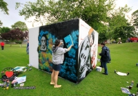 make-a-move-limerick-2013-park-paint-20-jpg