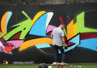 make-a-move-limerick-2013-park-paint-44-jpg