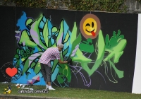 make-a-move-limerick-2013-park-paint-45