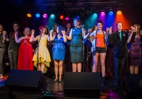 dolf_patijn_Limerick_marriage_equality_cabaret_26042015_0464.jpg