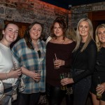 Singer songwriter Michelle Grimes Dolans gig November 2nd, 2024. Picture: Olena Oleksienko/ilovelimerick