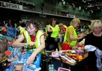 milford_hospice_fair_2013_46