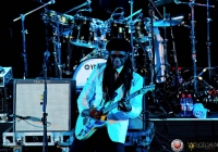 nilerodgers-milkmarket-1