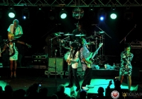 nilerodgers-milkmarket-2