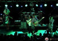 nilerodgers-milkmarket-3