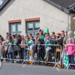 St Patricks Limerick Day 2022. Picture: Ava O'Donoghue/ilovelimerick