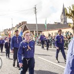 Limerick St. Patrick's Day Parade 2024 featured more than 1500 participants from over 70 groups, clubs and communities that marched, danced, drove and entertained a crowd of more than 50,000. Picture: 
Olena Oleksienko/ilovelimerick