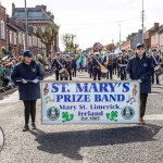 Limerick St. Patrick's Day Parade 2024 featured more than 1500 participants from over 70 groups, clubs and communities that marched, danced, drove and entertained a crowd of more than 50,000. Picture: 
Olena Oleksienko/ilovelimerick