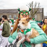 St Patrick’s Day Parade 2025. Picture: Olena Oleksienko/ilovelimerick