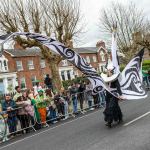 St Patrick’s Day Parade 2025. Picture: Olena Oleksienko/ilovelimerick