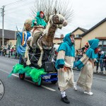 St Patrick’s Day Parade 2025. Picture: Olena Oleksienko/ilovelimerick