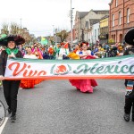 St Patrick’s Day Parade 2025. Picture: Olena Oleksienko/ilovelimerick