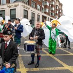 St Patrick’s Day Parade 2025. Picture: Olena Oleksienko/ilovelimerick