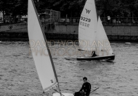 Pat Lawless Sail _ Oar Festival  (28)
