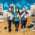 The Petmania Limerick Eastpoint store’s official opening celebration ‘Pawty’ took place on Saturday, 23rd May to celebrate the refurbished store following major transformation. Picture: Olena Oleksienko/ilovelimerick