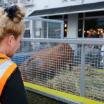 As part of Pigtown Festival 2019, the Pigtown Parade took place on Culture Night, Friday, September 20 through the streets of Limerick City followed by an after party at the Limerick Milk Market. Picture: Zoe Conway/ilovelimerick