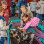 Pigtown Festival 2023 took place in Limerick Sept 24 - 27, 2023. Picture: Olena Oleksienko/ilovelimerick