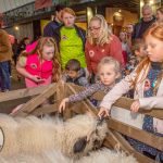 Pigtown Festival 2023 took place in Limerick Sept 24 - 27, 2023. Picture: Olena Oleksienko/ilovelimerick