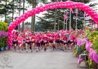 dolf_patijn_limerick_pink-ribbon_09062013_0157