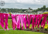 dolf_patijn_pink-ribbon_killaloe_28062015_0194