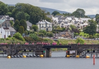 dolf_patijn_pink_ribbon_killaloe_28062015_0357