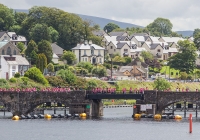 dolf_patijn_pink_ribbon_killaloe_28062015_0376