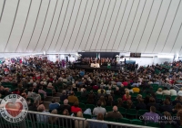 ILOVELIMERICK_LOW_PresidentHiggins_0013