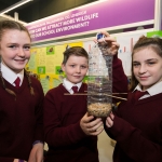 rsz_rds_primary_science_fair_0006