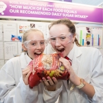 rsz_rds_primary_science_fair_0223