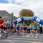 Regeneron-Great-Limerick-Run-2025-olena-logo-245