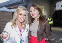 ilovelimerick_low_milkmarketgig_0030