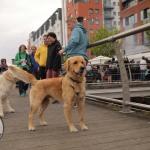 Riverfest BBQ Saturday, April 30, 2022. Picture: Olena Manilova/ilovelimerick