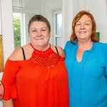 saoirse-addiction-centre-launch-logo-83