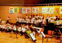 sing-out-with-strings-2013-72