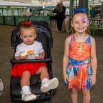 Social Enterprise Limerick (SEL) provides a local platform for social enterprises to meet, network, share their experiences and learn from each other and held a showcase at Limerick Milk Market on May 28th, 2026. Picture: Olena Oleksienko/ilovelimerick