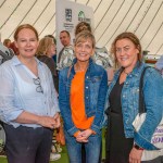 Social Enterprise Limerick (SEL) provides a local platform for social enterprises to meet, network, share their experiences and learn from each other and held a showcase at Limerick Milk Market on May 28th, 2026. Picture: Olena Oleksienko/ilovelimerick