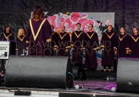 SO_2014_D_Woodland (107)