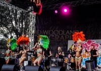 SO_2014_D_Woodland (157)
