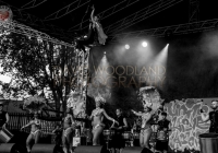 SO_2014_D_Woodland (158)