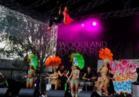 SO_2014_D_Woodland (159)