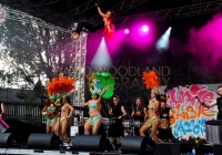 SO_2014_D_Woodland (160)