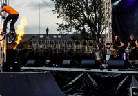SO_2014_D_Woodland (163)