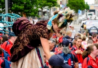 SO_2014_D_Woodland (5)