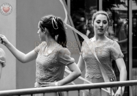 SO_2014_D_Woodland (80)