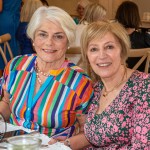 The annual St Gabriels Foundation Ladies Lunch took place on Thursday, May 14th 2026 in the Dunraven Arms Hotel in Adare. Picture: Olena Oleksienko/ilovelimerick