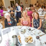 The annual St Gabriels Foundation Ladies Lunch took place on Thursday, May 14th 2026 in the Dunraven Arms Hotel in Adare. Picture: Olena Oleksienko/ilovelimerick