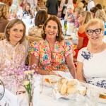 The annual St Gabriels Foundation Ladies Lunch took place on Thursday, May 14th 2026 in the Dunraven Arms Hotel in Adare. Picture: Olena Oleksienko/ilovelimerick