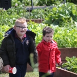 St. Munchin's Community Allotments Party at St Munchins Community Centre, Ballynanty, Thursday, June 14th, 2018. Picture: Sophie Goodwin/ilovelimerick.